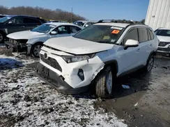 JTMP1RFV4LD063943 2020 TOYOTA RAV 4