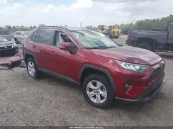 JTMP1RFV4MD073602 2021 TOYOTA RAV 4