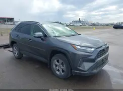 JTMP1RFV4PD094292 2023 TOYOTA RAV 4