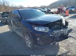 JTMP1RFV5KD007055 2019 TOYOTA RAV 4