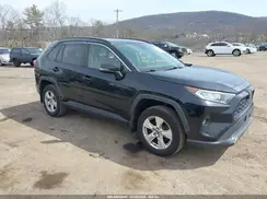 JTMP1RFV5KD011042 2019 TOYOTA RAV 4