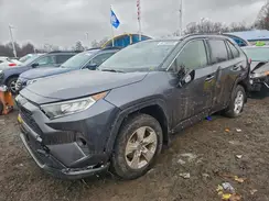 JTMP1RFV5KD015804 2019 TOYOTA RAV 4