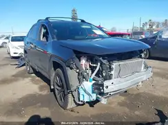JTMP1RFV5KD024454 2019 TOYOTA RAV 4