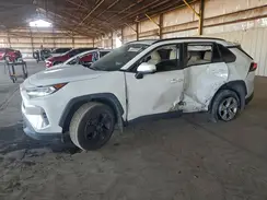 JTMP1RFV5KD025166 2019 TOYOTA RAV 4