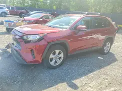 JTMP1RFV5KD026818 2019 TOYOTA RAV 4