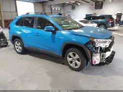 JTMP1RFV5KD027094 2019 TOYOTA RAV 4