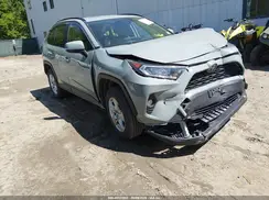 JTMP1RFV5KD033672 2019 TOYOTA RAV 4