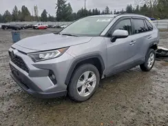 JTMP1RFV5KD034904 2019 TOYOTA RAV 4