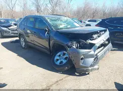 JTMP1RFV5KD036345 2019 TOYOTA RAV 4