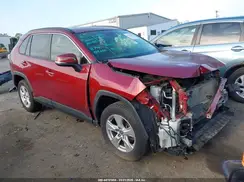 JTMP1RFV5KD039973 2019 TOYOTA RAV 4