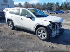 JTMP1RFV5KD513386 2019 TOYOTA RAV 4
