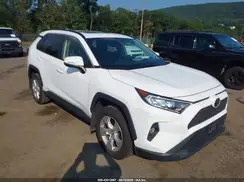JTMP1RFV5KJ001466 2019 TOYOTA RAV 4