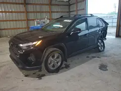 JTMP1RFV5PD095113 2023 TOYOTA RAV 4