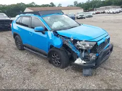 JTMP1RFV6KD012782 2019 TOYOTA RAV 4