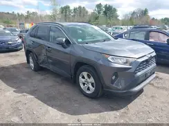JTMP1RFV6KD023457 2019 TOYOTA RAV 4
