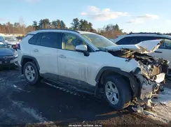 JTMP1RFV6KD028772 2019 TOYOTA RAV 4