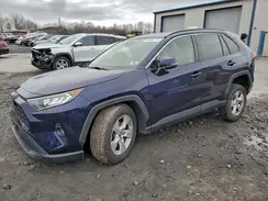 JTMP1RFV6KD502610 2019 TOYOTA RAV 4