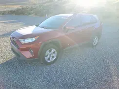 JTMP1RFV6KD503630 2019 TOYOTA RAV 4