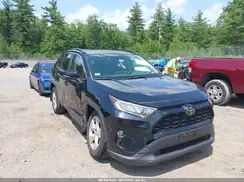 JTMP1RFV6KD504325 2019 TOYOTA RAV 4