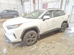 JTMP1RFV6KD504972 2019 TOYOTA RAV 4