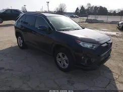JTMP1RFV6KD515177 2019 TOYOTA RAV 4