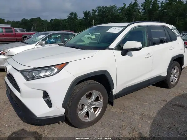 JTMP1RFV6KD515454 2019 TOYOTA RAV 4 - Image 2