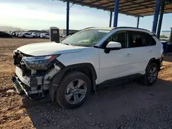 JTMP1RFV6RD109359 2024 TOYOTA RAV 4
