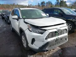 JTMP1RFV7KD007705 2019 TOYOTA RAV 4