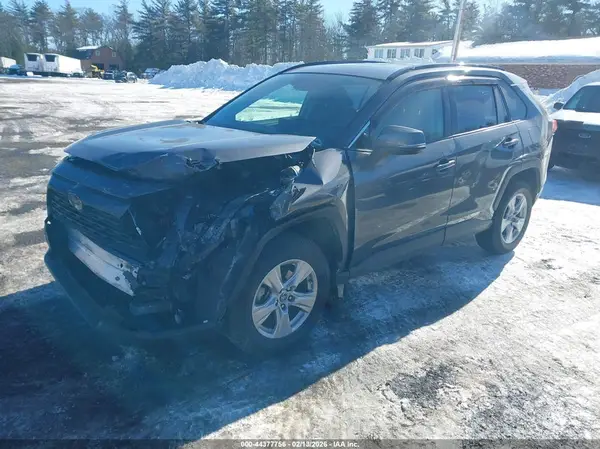 JTMP1RFV7KD015903 2019 TOYOTA RAV 4 - Image 2