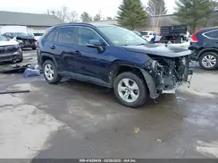 JTMP1RFV7KD028229 2019 TOYOTA RAV 4