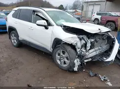 JTMP1RFV7KD037433 2019 TOYOTA RAV 4