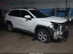 JTMP1RFV7KD046844 2019 TOYOTA RAV 4