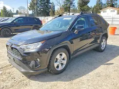 JTMP1RFV7KD507251 2019 TOYOTA RAV 4