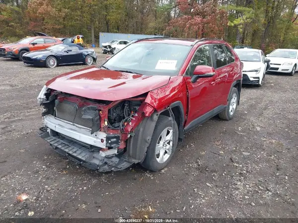 JTMP1RFV7KD519769 2019 TOYOTA RAV 4 - Image 2