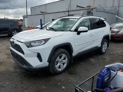JTMP1RFV7LD057229 2020 TOYOTA RAV 4