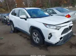 JTMP1RFV7LD059546 2020 TOYOTA RAV 4