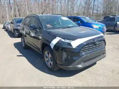 JTMP1RFV7SJ043041 2025 TOYOTA RAV 4