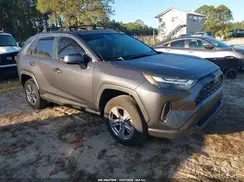 JTMP1RFV7SJ044125 2025 TOYOTA RAV 4