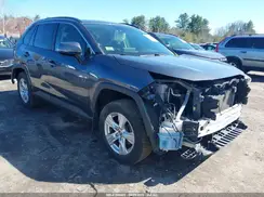 JTMP1RFV8KD015358 2019 TOYOTA RAV 4