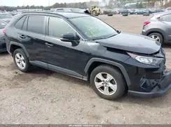 JTMP1RFV8KD033794 2019 TOYOTA RAV 4