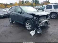 JTMP1RFV8KD510773 2019 TOYOTA RAV 4