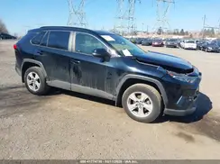 JTMP1RFV8KD511213 2019 TOYOTA RAV 4