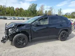 JTMP1RFV8LD051486 2020 TOYOTA RAV 4