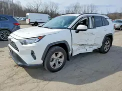 JTMP1RFV9KD022724 2019 TOYOTA RAV 4