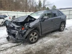 JTMP1RFV9KD030239 2019 TOYOTA RAV 4
