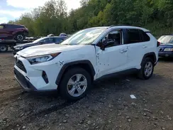 JTMP1RFV9KD501290 2019 TOYOTA RAV 4