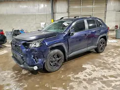 JTMP1RFV9KD518123 2019 TOYOTA RAV 4