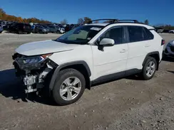 JTMP1RFV9KJ022384 2019 TOYOTA RAV 4