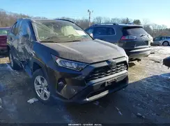 JTMP1RFV9LD056647 2020 TOYOTA RAV 4