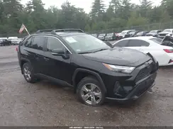 JTMP1RFV9PD095891 2023 TOYOTA RAV 4